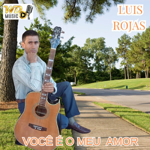 VOÇÊ É O MEU AMOR