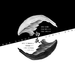 白夜~True Light（Feat.Alaneye.亚兰）（翻自 Shunn）