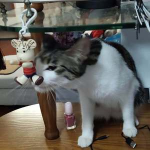 check swag｛prod by 百川rebellious｝