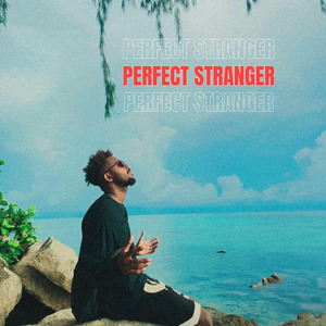 PERFECT STRANGER