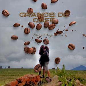 Granos De Café