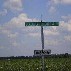 kill your masters (feat. prodleftfield)