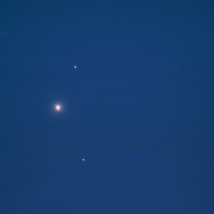 Sena - Я тебя найду