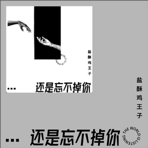 还是忘不掉你 (demo)