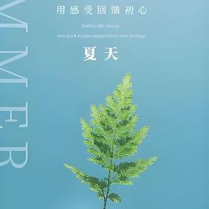 王昭君-小提琴