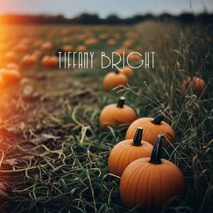 Lanterns on the Ground