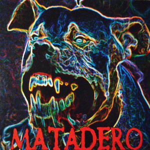 Vertedero
