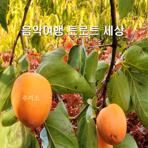 노래는 나의 인생 (Cover Ver.)