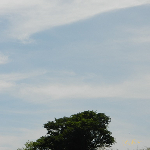 Seaside (feat. 初音ミク)