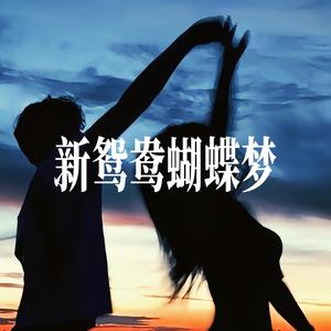 新鸳鸯蝴蝶梦 - R&B氛围男声