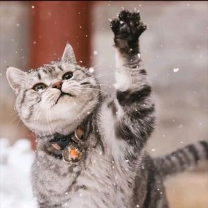 青春离愁与未来期许