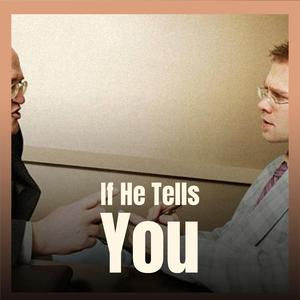 Dreamland Last Night