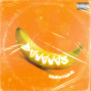 Исполнитель (Single Ludvig)