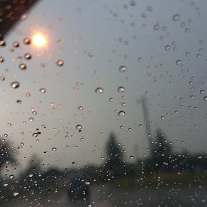 flos（翻自 R Sound Design）