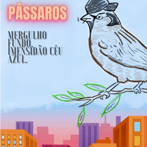 Passaros