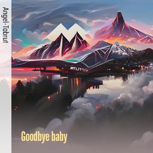 Goodbye Baby