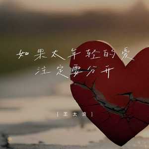 如果太年轻的爱注定要分开