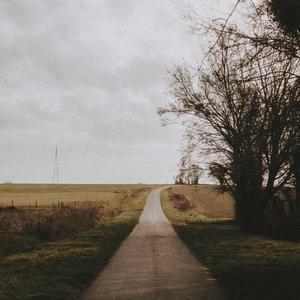 No Road Back