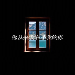 你从来没在乎我的疼