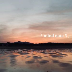 mind note 5