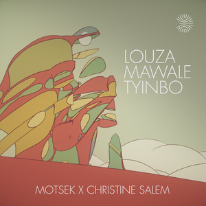 Tyinbo Remix