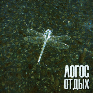 Черный ворон