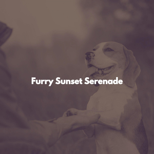 Relaxing Music for Visions