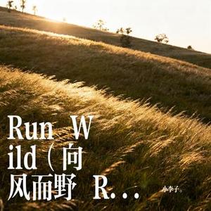 Run Wild (向风而野 R&B版) (Cover 是晚星呀)