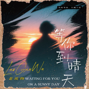 陪你到晴天
