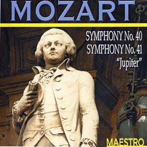 Symphony No. 40 in G Minor, KV. 550: I. Molto allegro