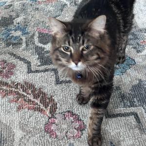 pink! (feat. $amaad)