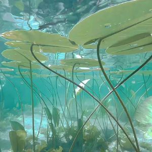 想你这件事（女版）