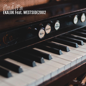 เกือบทั้งชีวิต