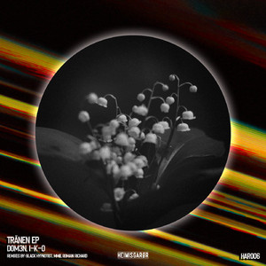 Tränen (Original Mix)