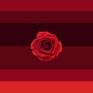 Näkemiin (feat. Amosa)