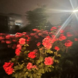 夏日海边的友谊之约