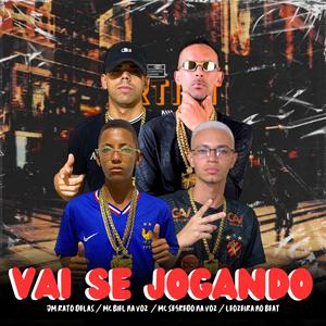 Vai Se Jogando