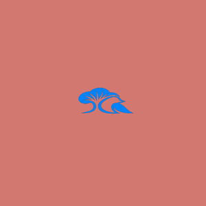 ジャンク