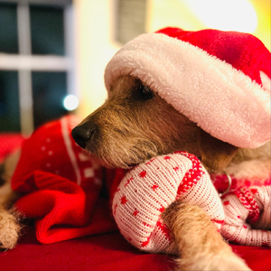 Holiday Feel (feat. Deanna Brooke)