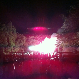 トラツグミ、駆ける