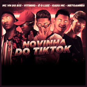Novinha do Tiktok (Remix)