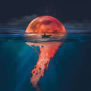 夜星（Prod Modi_dx1）