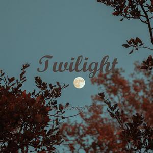 Twilight