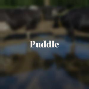 Puddle