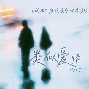 类似爱情(我站在屋顶黄昏的光影)