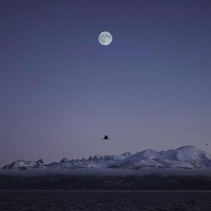 因为我们在一起