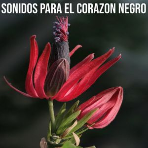 Hoy te nececito