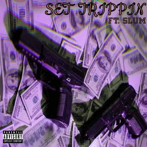 SET TRIPPN