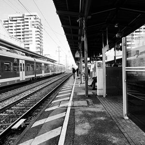 冬夜菲尔特demo1