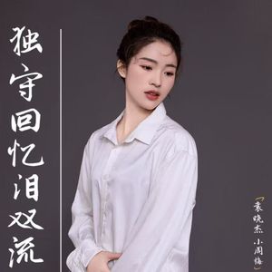 独守回忆泪双流 (对唱版)